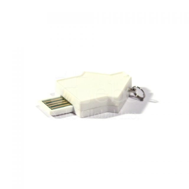 House shaped USB flash disk