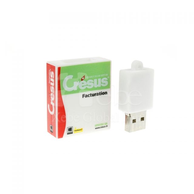 Corporate custom USB Corporate gift idea