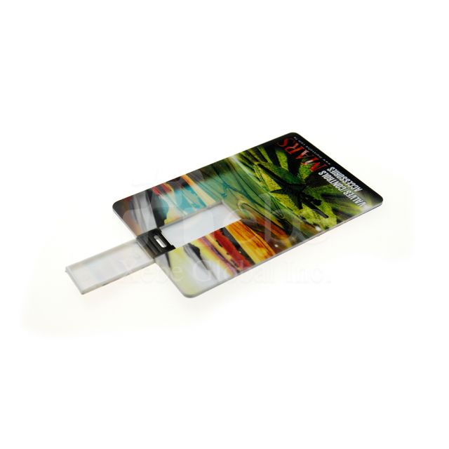 Mars landscape USB drive