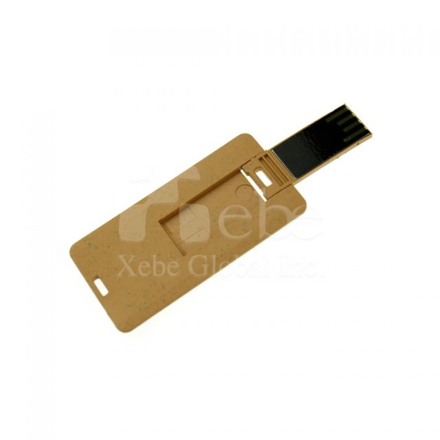 Custom husk USB 