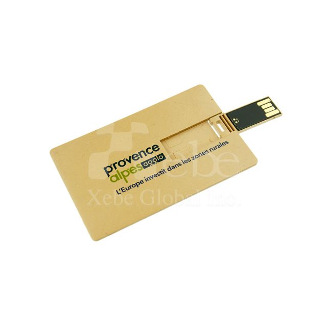 Company LOGO card USB drive